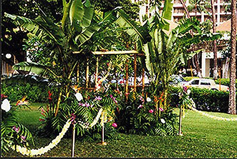 Waikiki Village Flowers and Gifts