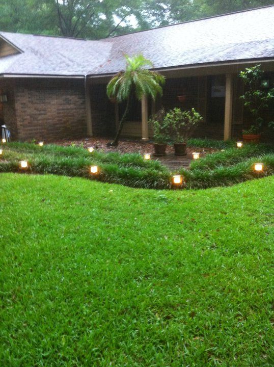 Low Voltage Yard Lighting