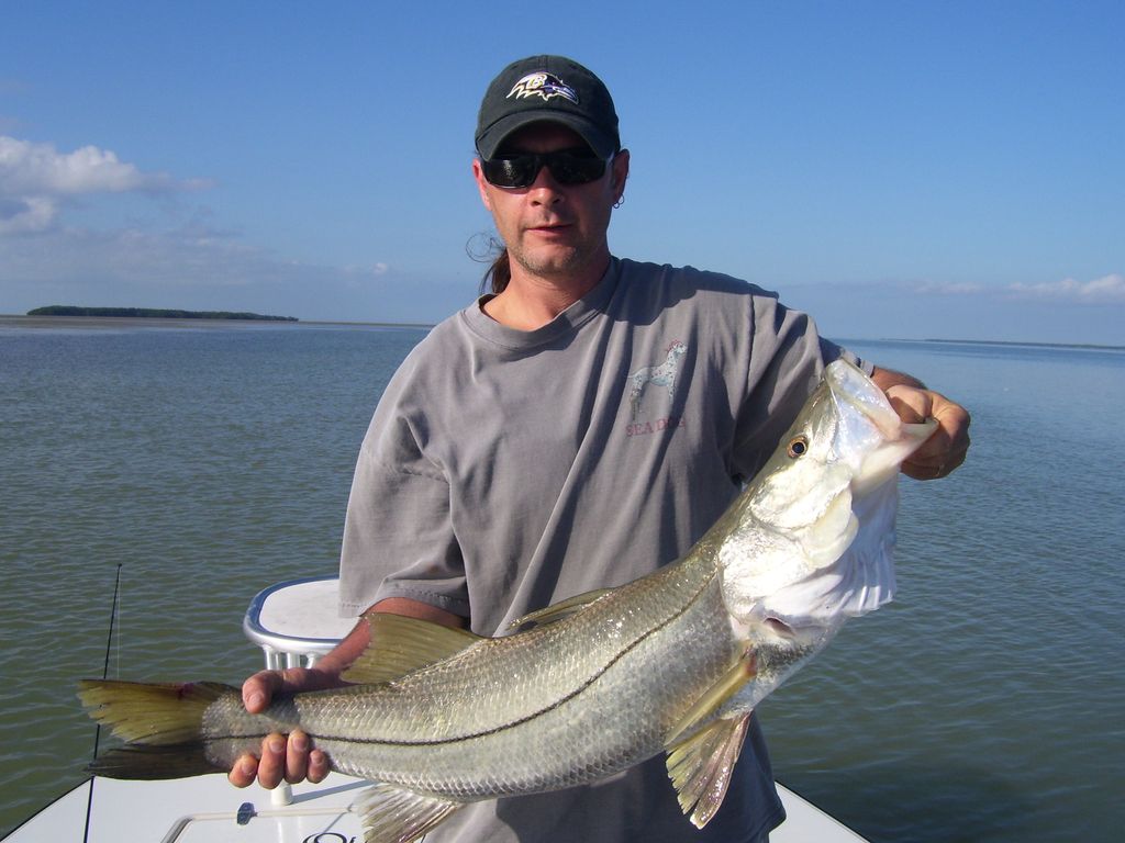 Flamingo Snook