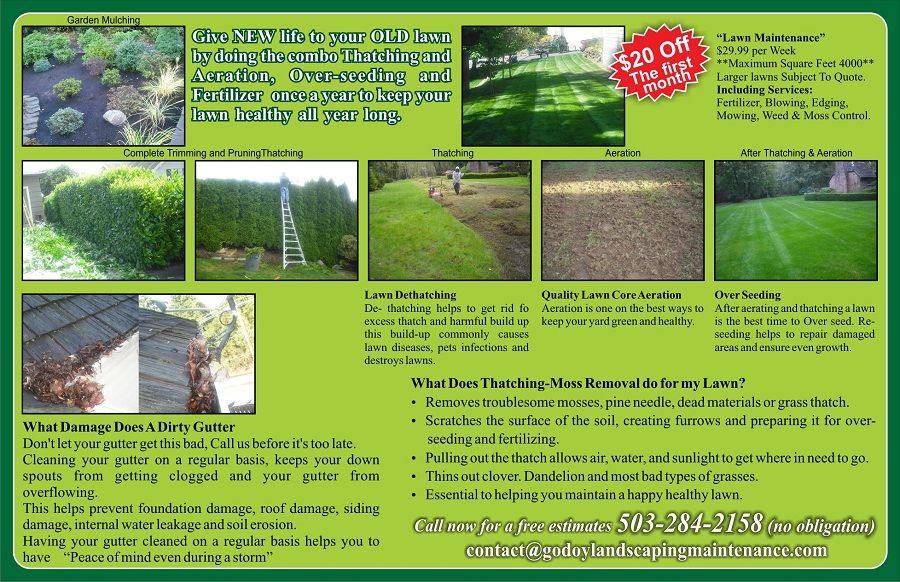 Services & Offer