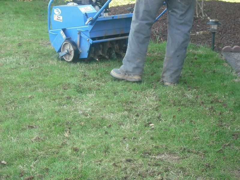 Lawn Aeration Services