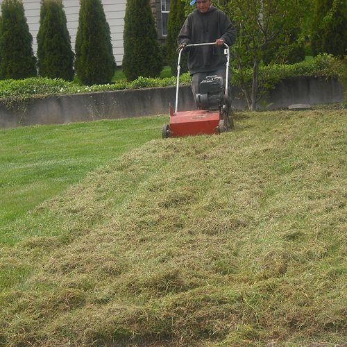 Lawn Thatching Services