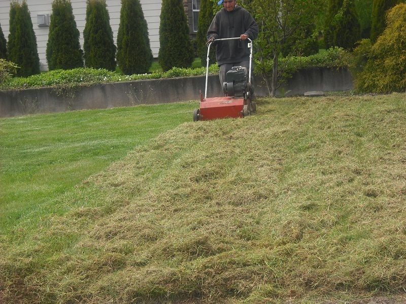 Lawn Thatching Services