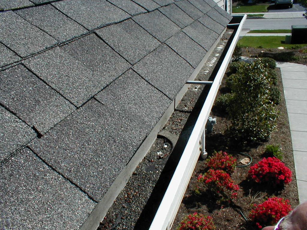 Gutter before cleaning
