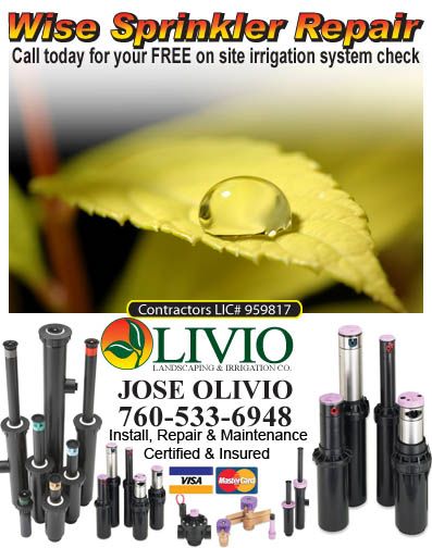 Olivio Landscape & Irrigation