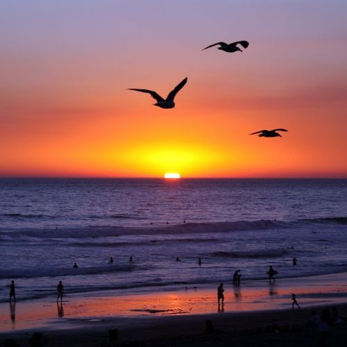A Calfornia Sunset