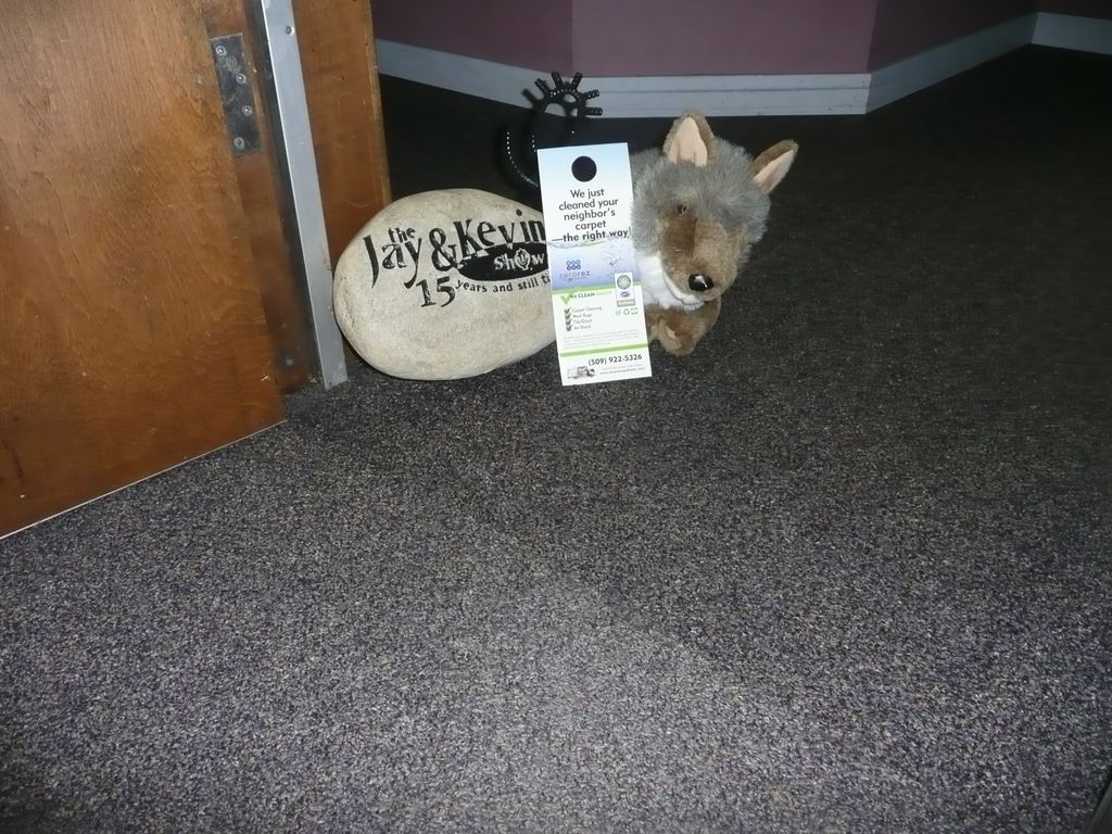 Office carpet cleaning