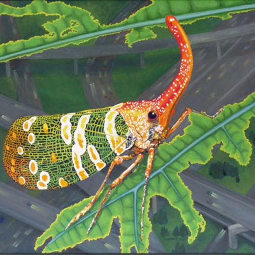Lanternbug Oil on Canvas 2010