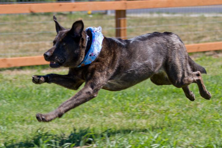 Customer Gayle's, Sadie, taking first place in the