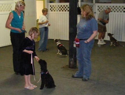 Puppy Charm School class in action!  Practicing "S