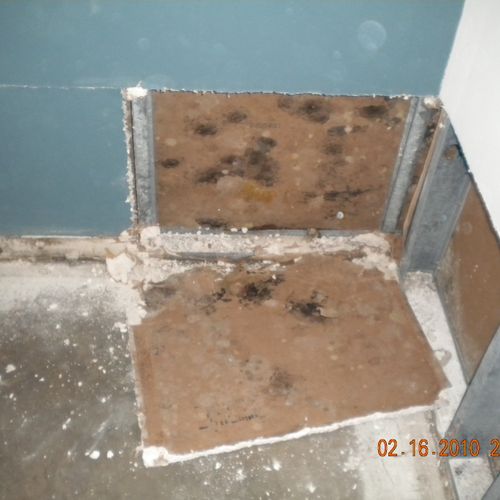 Mold Remediation - Leak from a hot water heater
