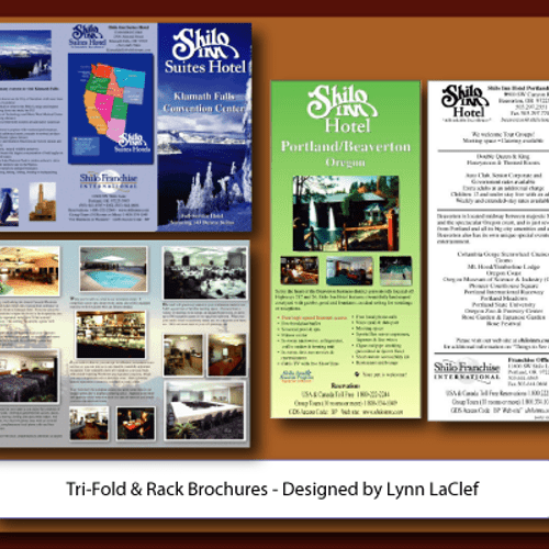 Tri-Fold Brochures and Flyers