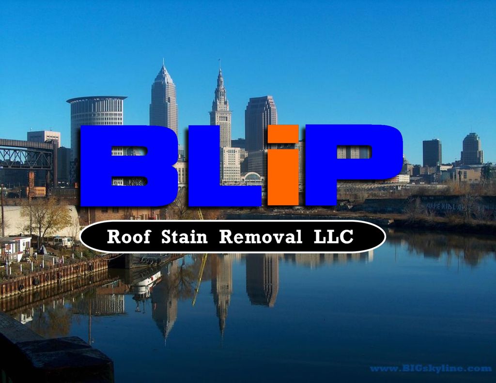 BLiP Roof Stain Removal LLC