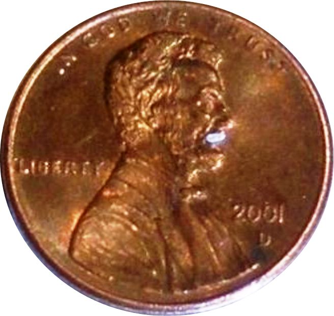 Bed bug egg on a penny to show size