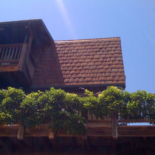 Ecostar shingels with copper gutter system in San 