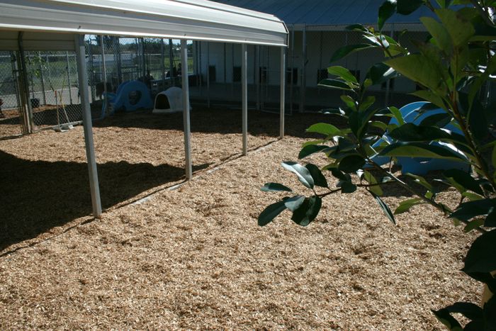 All of our playyards feature enviormental playgrou