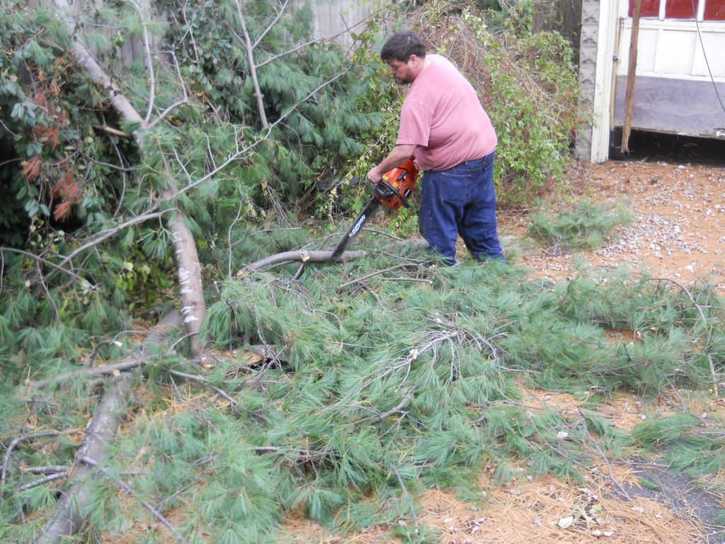 tree work