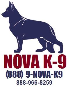 NoVa K-9