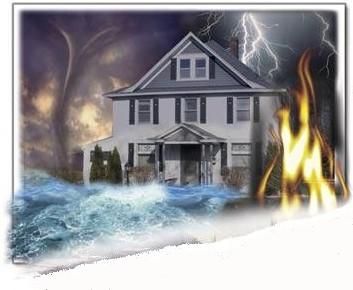 Water Damage & Mold Services