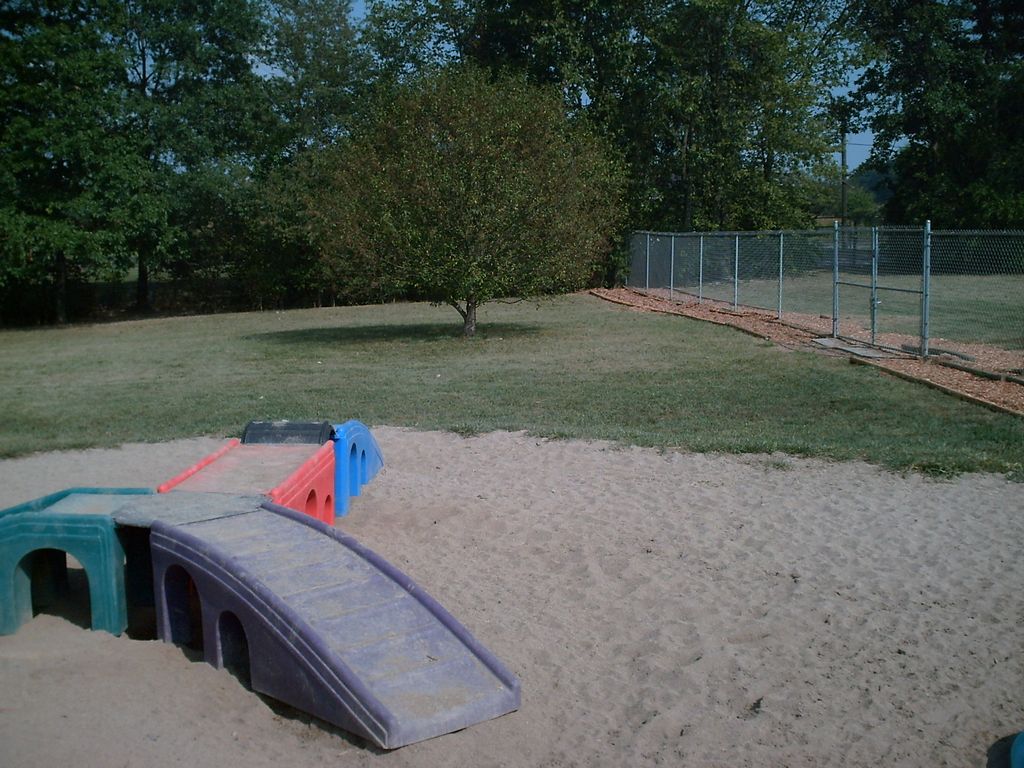 Sand beach with puppy playground