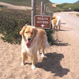 Beach Hikes
