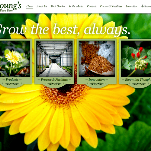 Web Design and application for Young's Plant Farm.