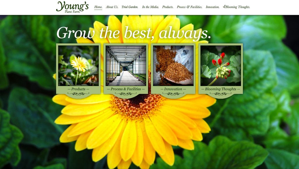 Web Design and application for Young's Plant Farm.