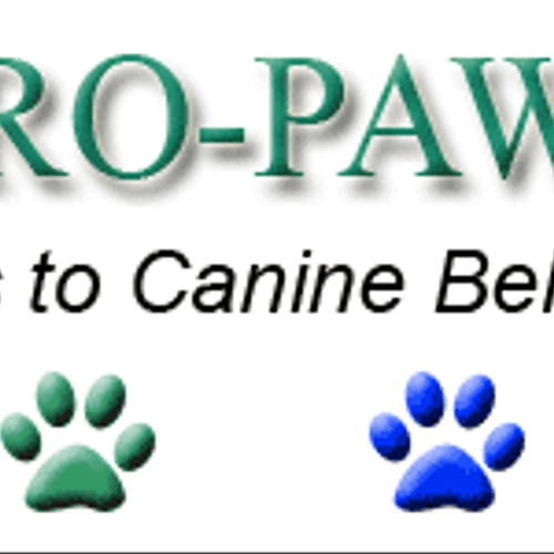 Pro-Paws: Professional dog training in Fort Worth,