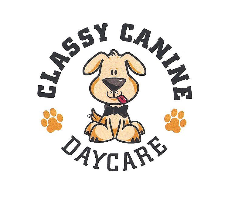 Classy Canine Daycare
