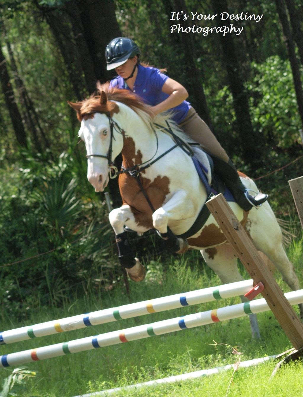 Mrs. Julie and McCue. He is her jumper and he is s