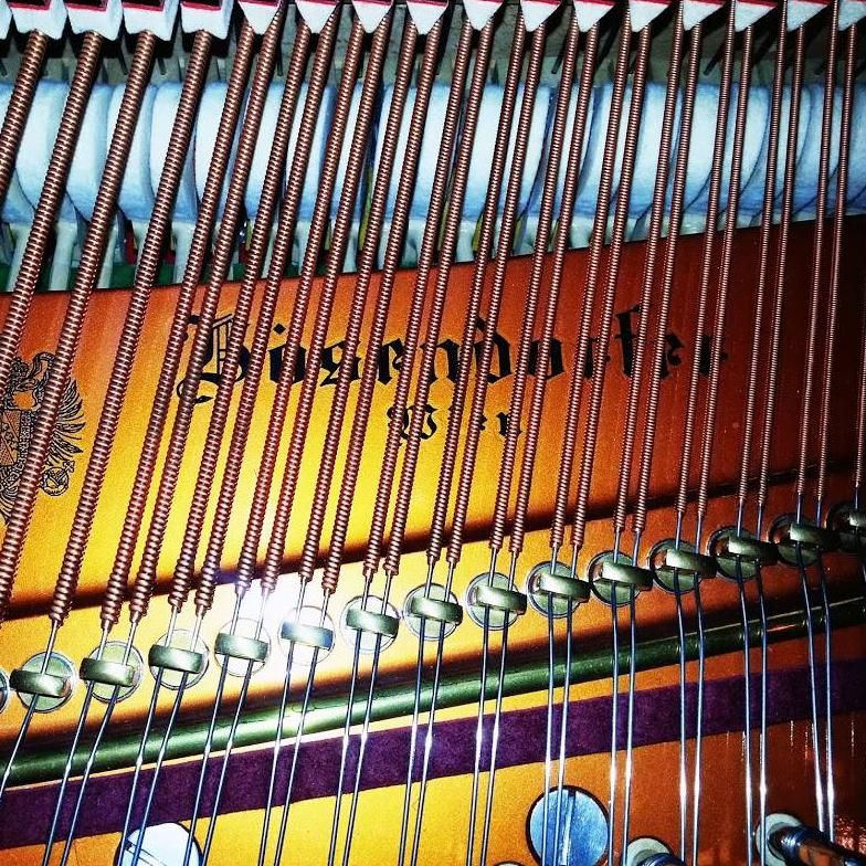 Rochester Piano Tuning And Repair