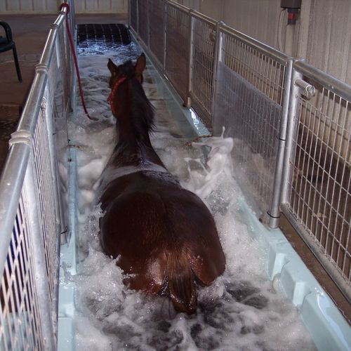 Trotting in the AquaTred is equivilent to 1 hour o