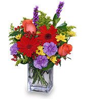 Contemporary Arrangements