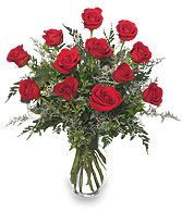 Classic Dozen Red Roses