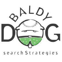Baldydog Search Strategies