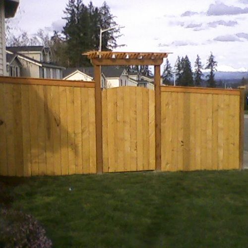 6Ft Cedar board fence with Arbor
