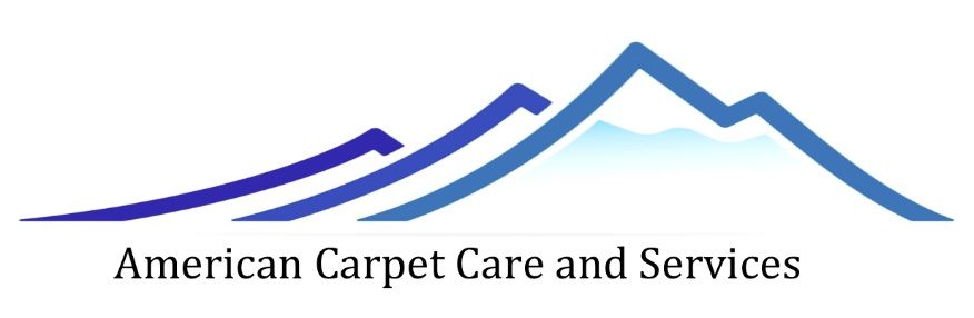 American Carpet Care Services