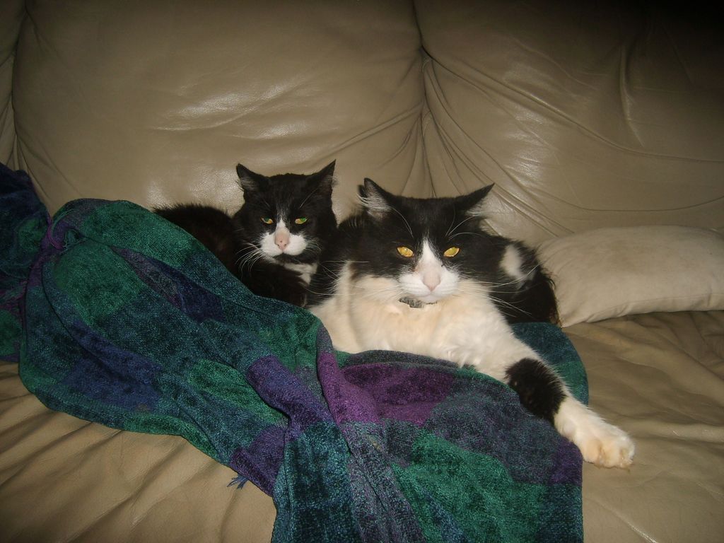 BW and Poncho Chilling1