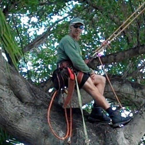 Nick Downs Licensed Certified Arborist Key West Ar