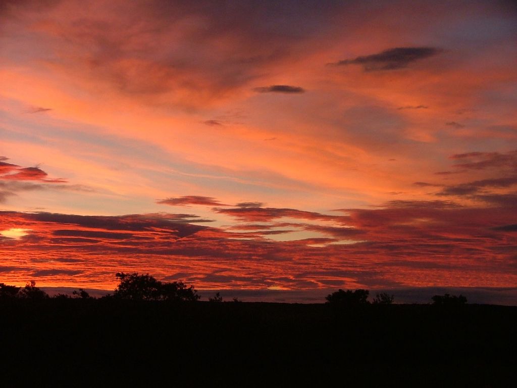 Winning photo selected for a business calendar