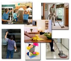 The Mess Doctor Cleaning Services