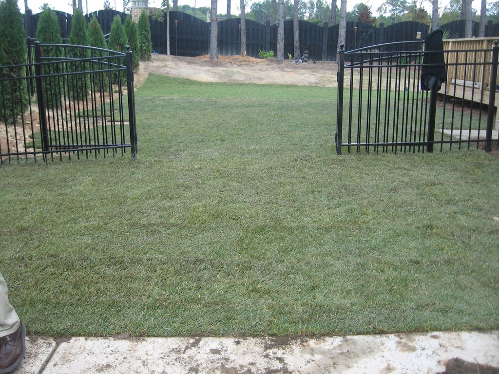 After Sod