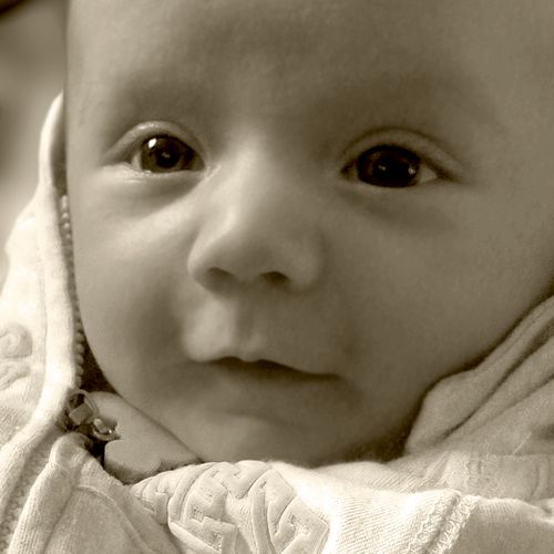 Infant portrait 2013