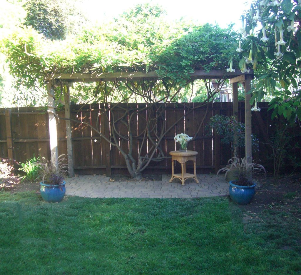 The wisteria arbor ready and waiting 