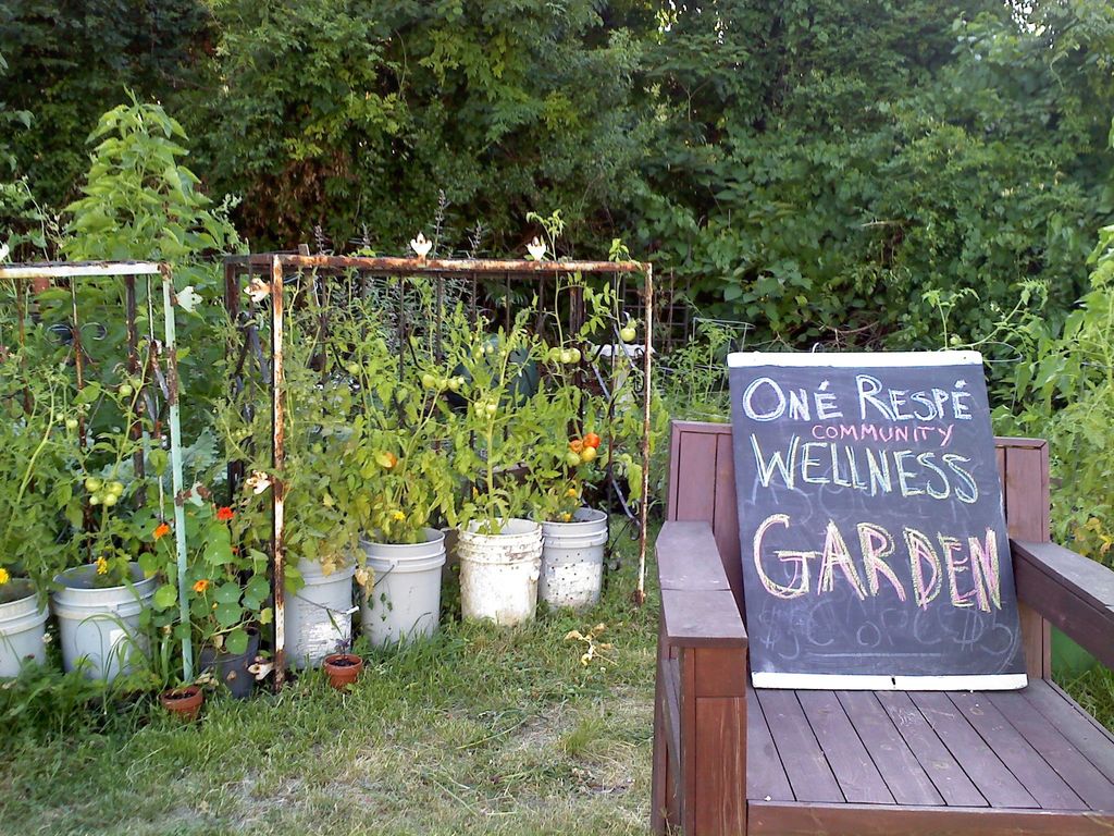 One' Respe' Wellness Garden is a community garden 