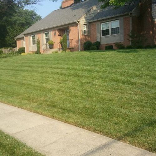 Organic-Based Lawn Care by Naturalawn of America i
