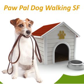 Paw Pal Dog Walking SF