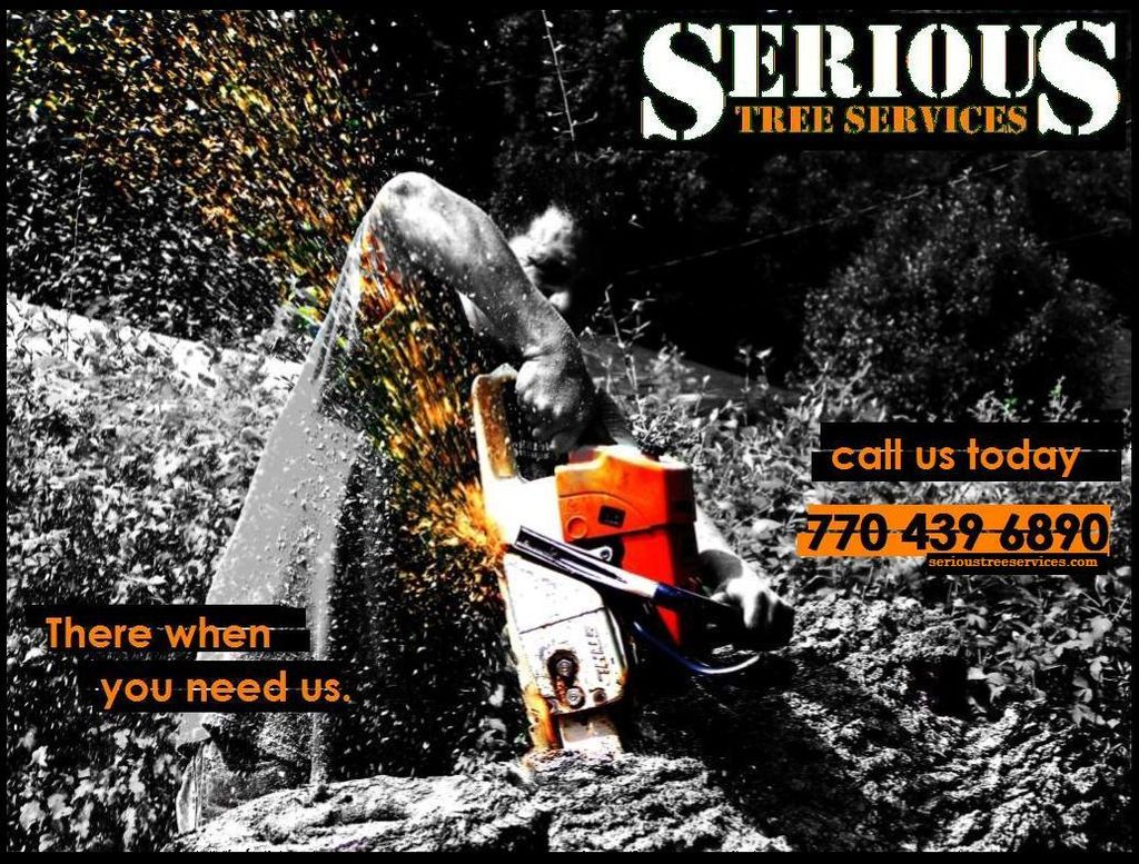 Serious Tree Services