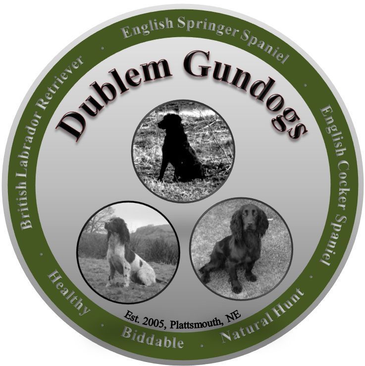 Dublem Gundogs