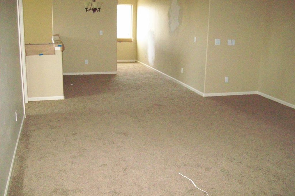 Carpet